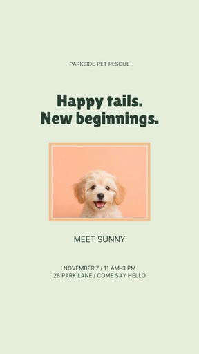 Story opener size of Happy Tails Adoption Day