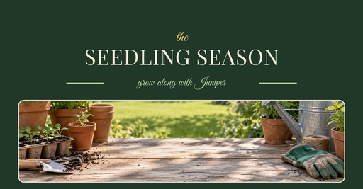 Group cover size of The Seedling Season