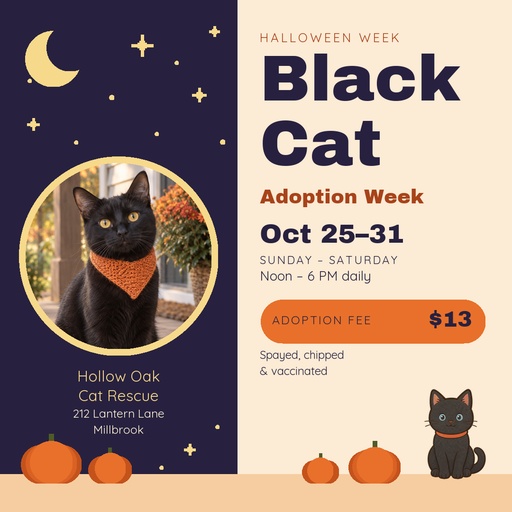 Square post size of Black Cat Adoption Week
