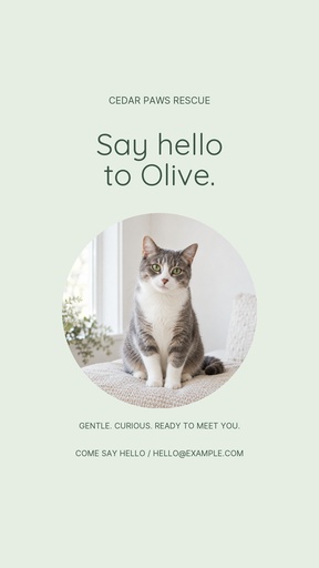 Story opener size of Olive Finds a Family