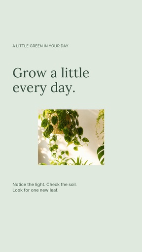 Story opener size of Grow a Little Every Day