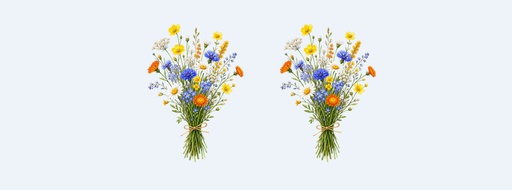 Page cover size of Field and Stem