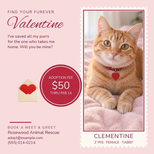 Square post size of Find Your Furever Valentine