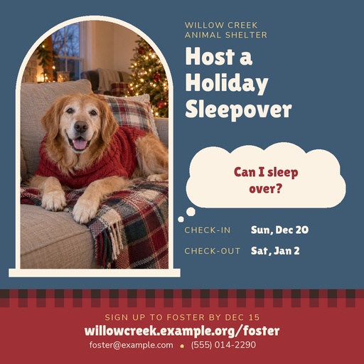 Square post size of Holiday Sleepover Fosters