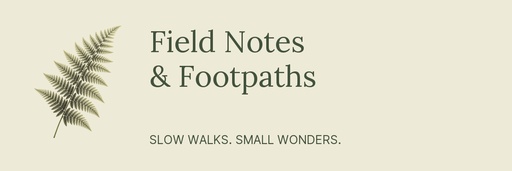 Email header size of Field Notes and Footpaths