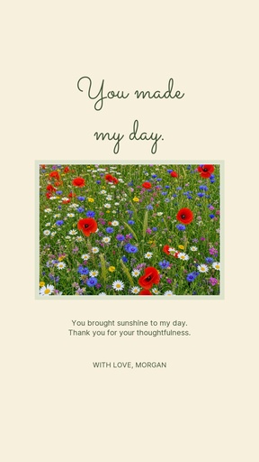Story opener size of You Made My Day