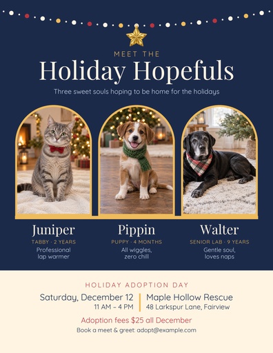 Letter flyer size of Meet the Holiday Hopefuls