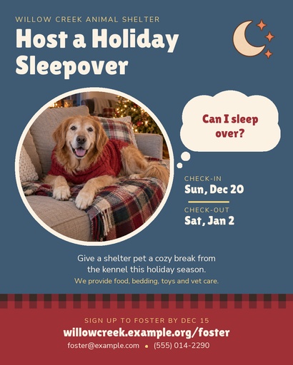 Portrait post size of Holiday Sleepover Fosters