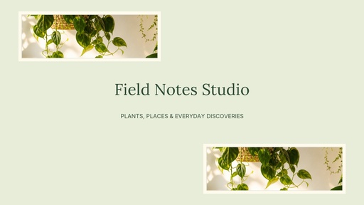 YouTube banner size of Field Notes Studio