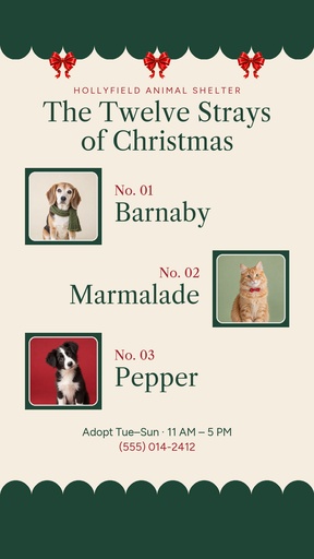 Story opener size of The Twelve Strays of Christmas