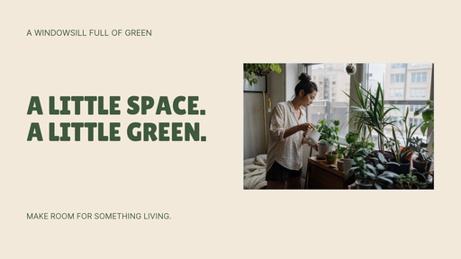 Landscape graphic size of A Windowsill Full of Green