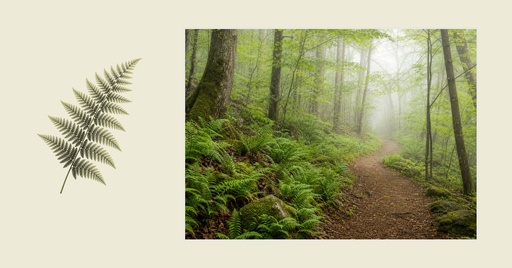 Event cover size of Field Notes and Footpaths