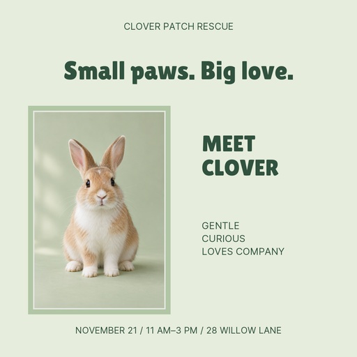 Square post size of Clover Comes Home