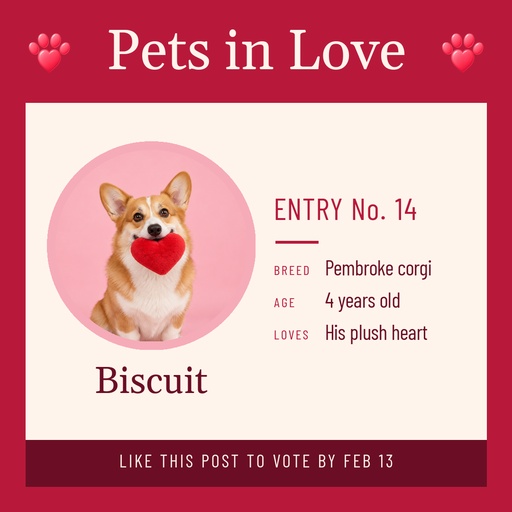 Square post size of Pets in Love Photo Contest