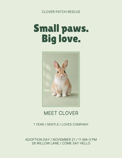 Letter flyer size of Clover Comes Home