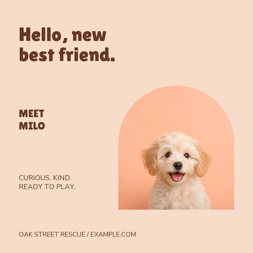 Square post size of Hello, New Best Friend
