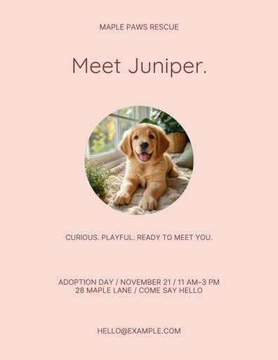 Letter flyer size of Say Hello to Juniper