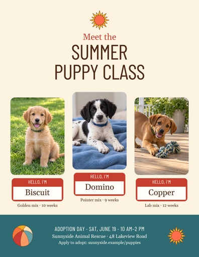 Letter flyer size of Meet the Summer Puppy Class