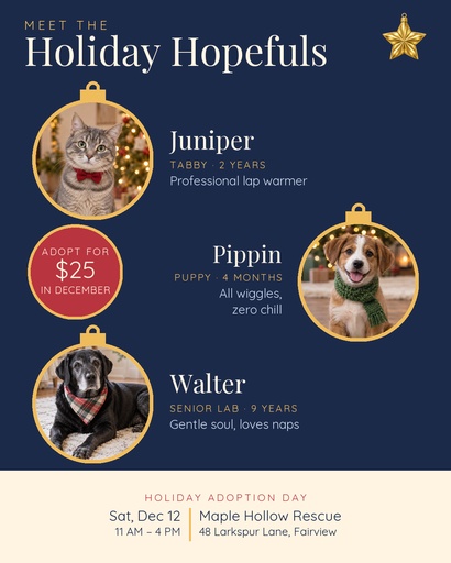 Portrait post size of Meet the Holiday Hopefuls