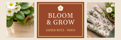 Email header size of Bloom and Grow Garden Shop