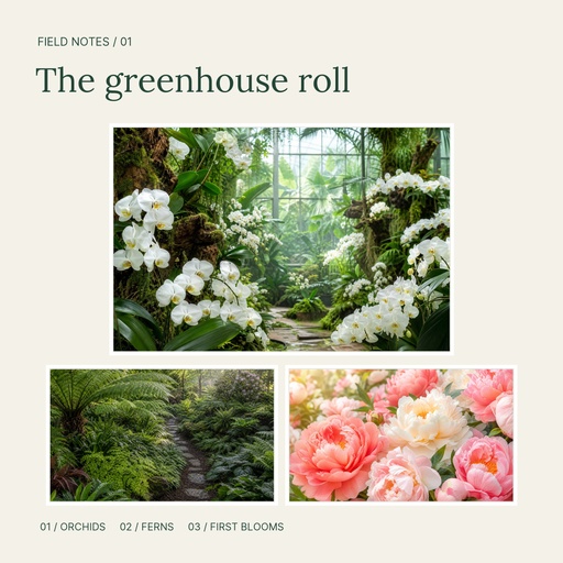 Square collage size of The Greenhouse Roll
