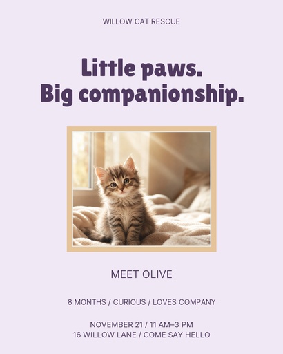 Portrait post size of Purrfect Little Company