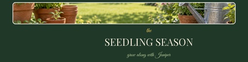 LinkedIn banner size of The Seedling Season