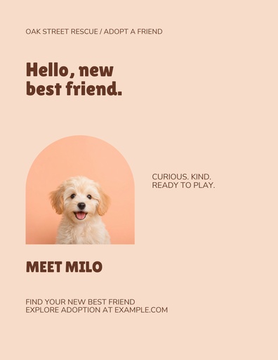 Letter flyer size of Hello, New Best Friend