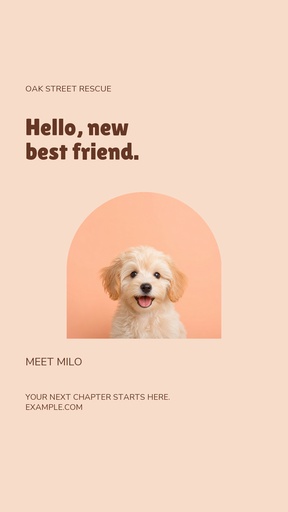 Story opener size of Hello, New Best Friend