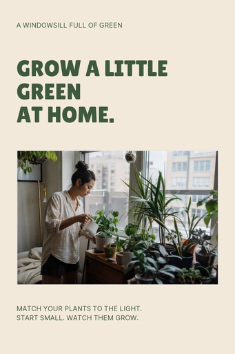 Pinterest pin size of A Windowsill Full of Green