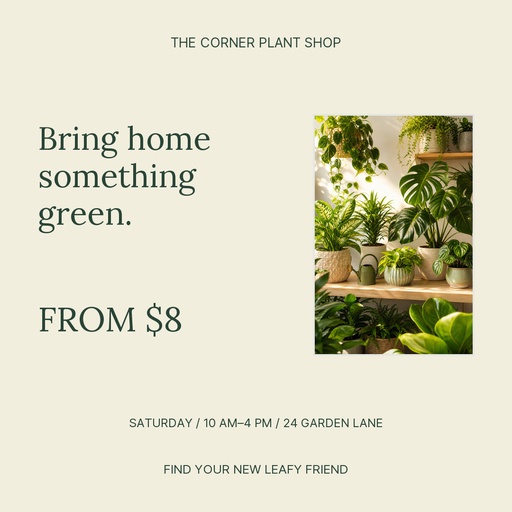 Square post size of The Corner Plant Shop