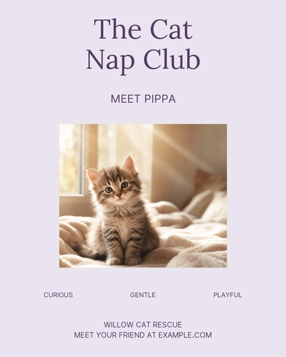 Portrait post size of The Cat Nap Club