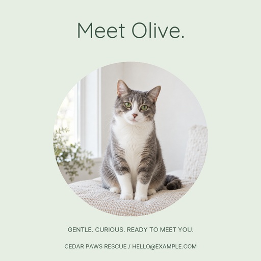 Square post size of Olive Finds a Family