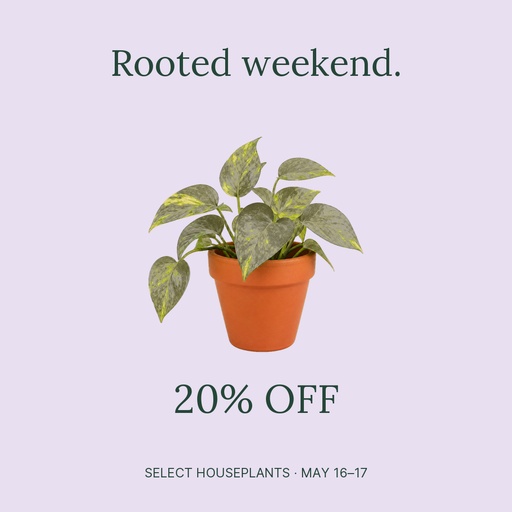 Square post size of Rooted Weekend