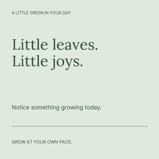Square post size of Grow a Little Every Day