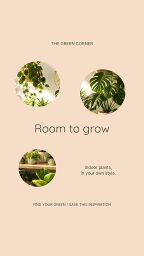 Story opener size of Room to Grow