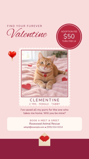 Story opener size of Find Your Furever Valentine