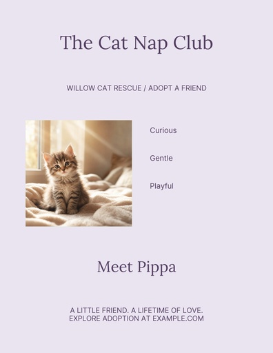 Letter flyer size of The Cat Nap Club