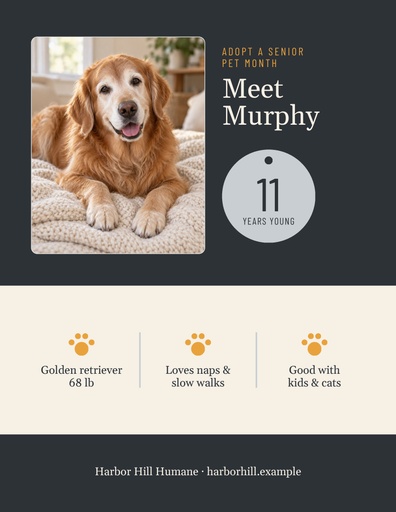 Letter flyer size of Gray Muzzle Adoption Month