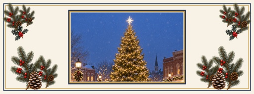 Page cover size of Tree Lighting on the Square