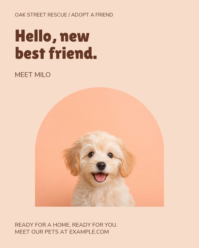 Portrait post size of Hello, New Best Friend