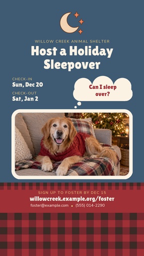 Story opener size of Holiday Sleepover Fosters