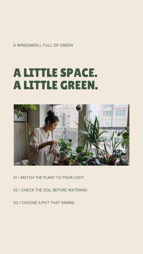 Story opener size of A Windowsill Full of Green