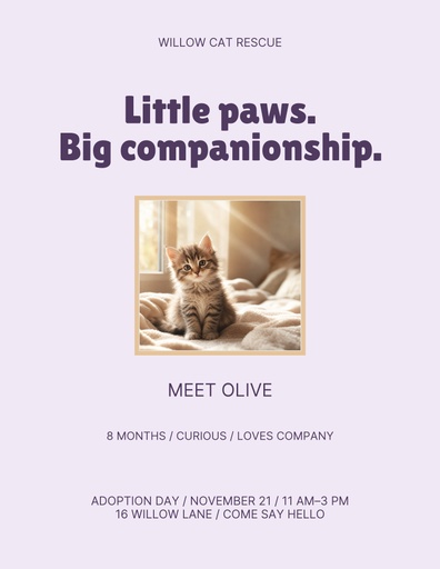 Letter flyer size of Purrfect Little Company
