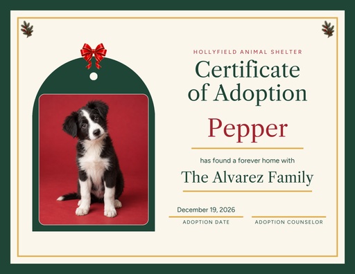 Keepsake certificate size of The Twelve Strays of Christmas