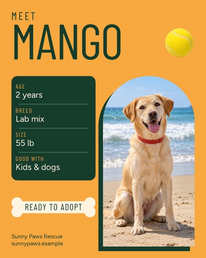 Portrait post size of Meet Mango, Ready to Adopt